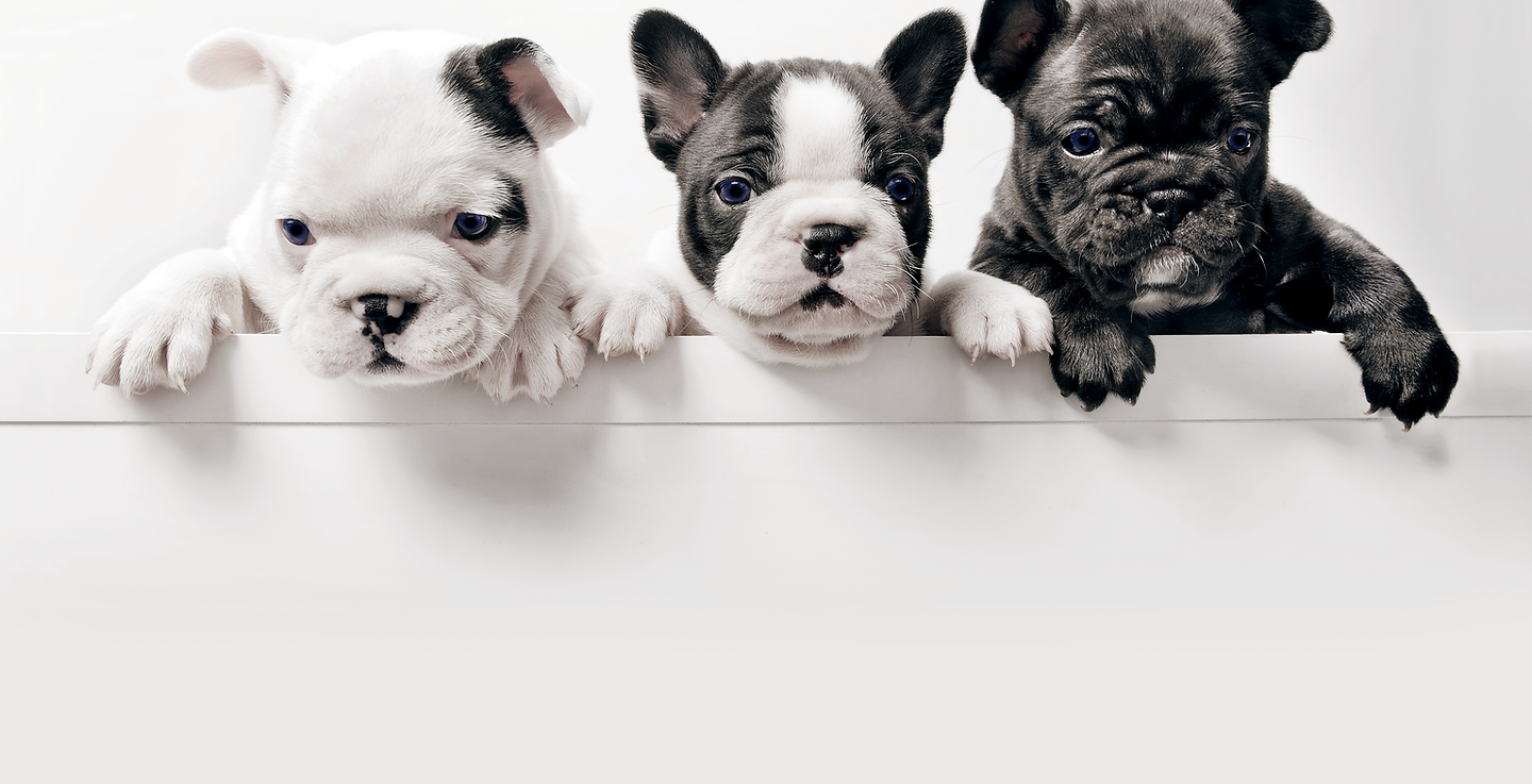 d6a9906c94be4282a487b3e92993a22f